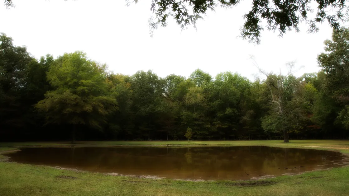 Photograph of the The "Bloody Pond" on the Shiloh Battlefield